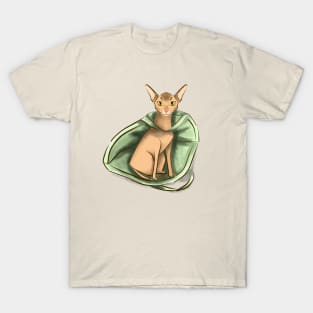 Funny Abyssinian cat T-Shirt